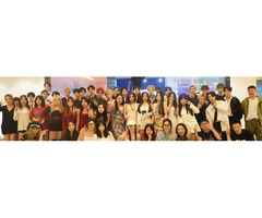 Content & Live Operations Executive