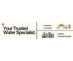 Marketing Executive